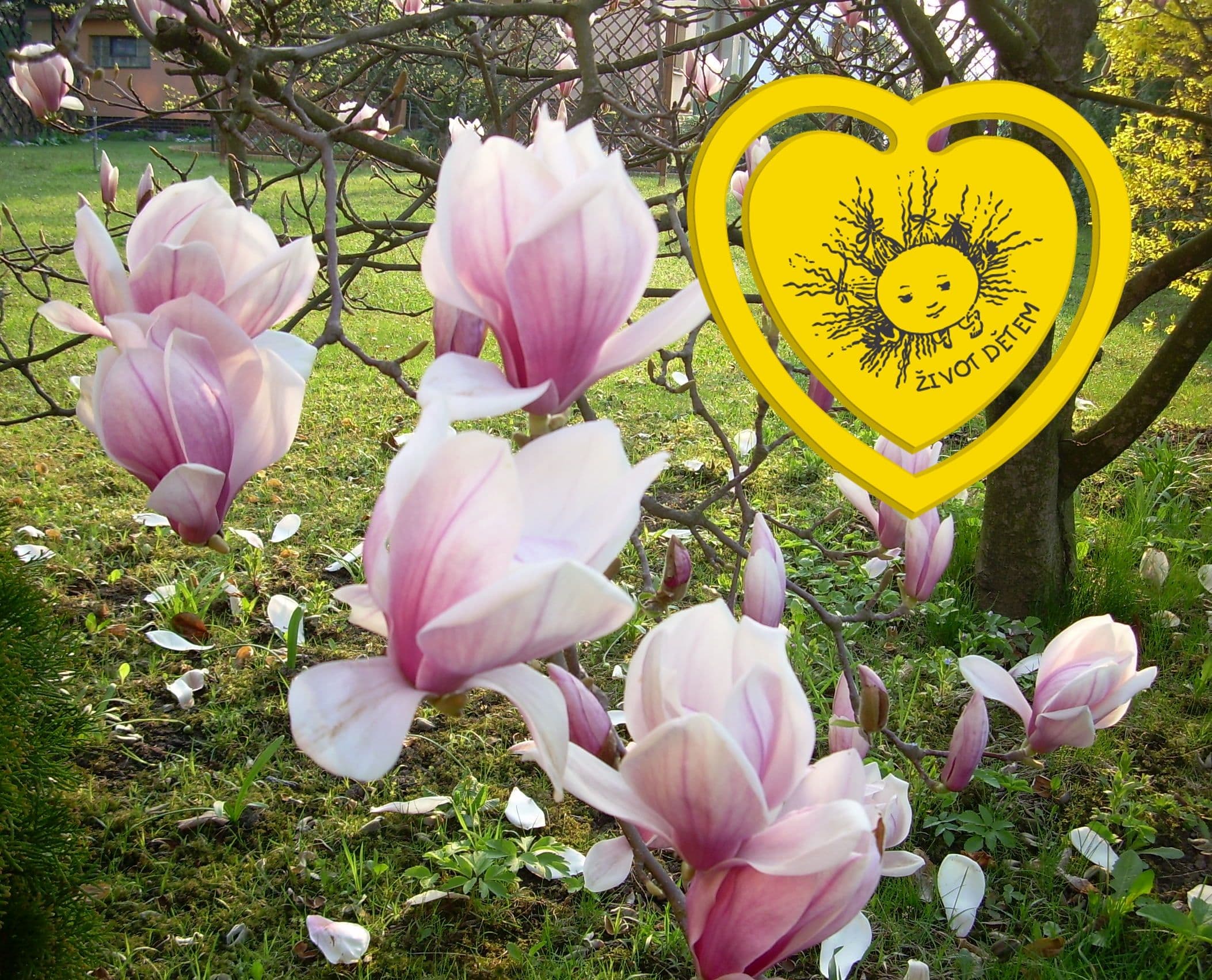 Jarní Srdíčkové dny 2026