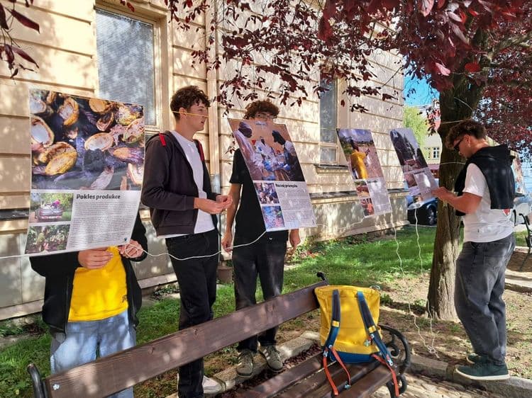 Výstava na stromech